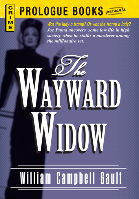 Cover image for book The Wayward Widow
