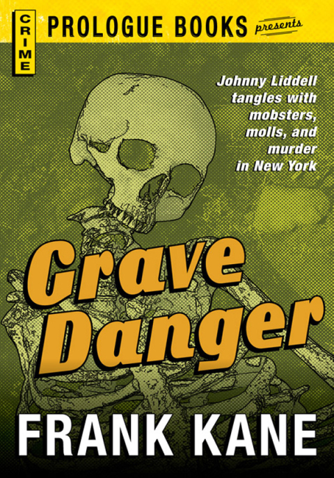 Cover image for book Grave Danger