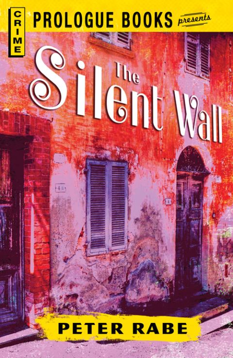 Cover image for book The Silent Wall