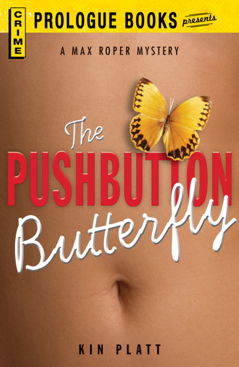 Cover image for book The Pushbutton Butterfly