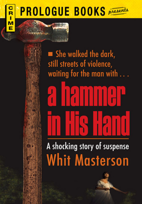 Cover image for book A Hammer in His Hand