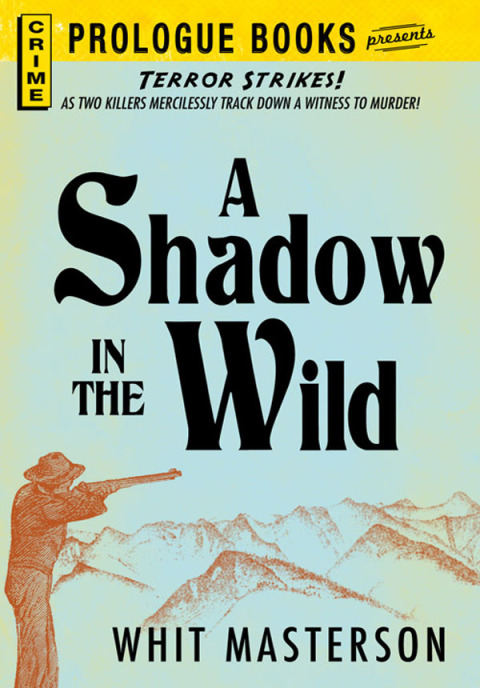Cover image for book A Shadow in the Wild