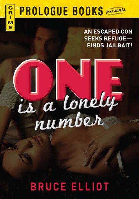 Cover image for book One is a Lonely Number