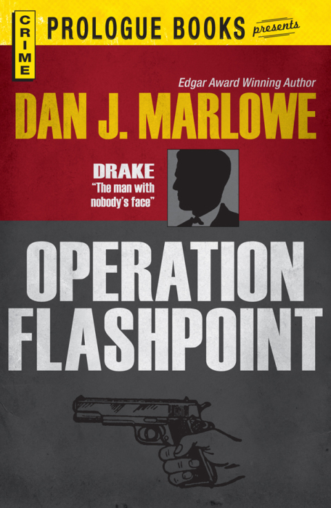 Cover image for book Operation Flashpoint