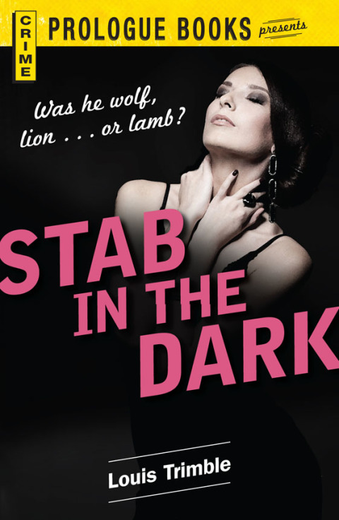 Cover image for book Stab in the Dark