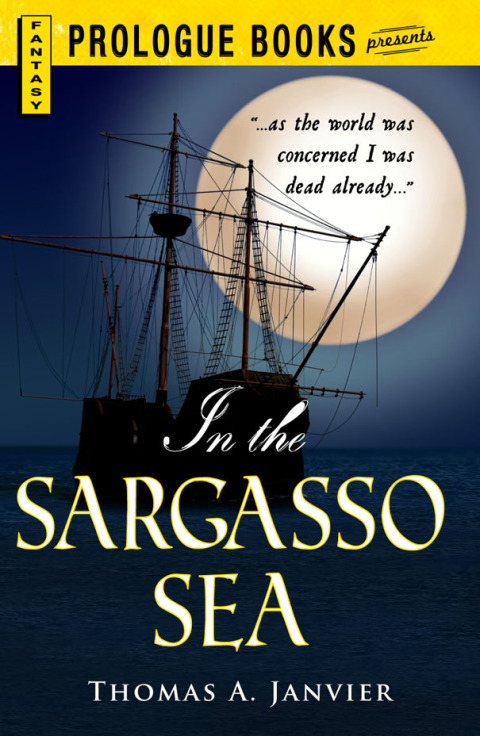 Cover image for book In the Sargasso Sea