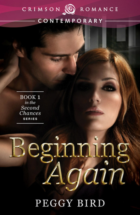 Cover image for book Beginning Again