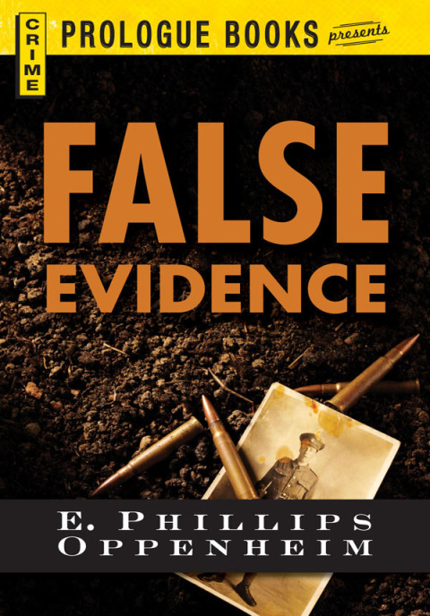 Cover image for book False Evidence
