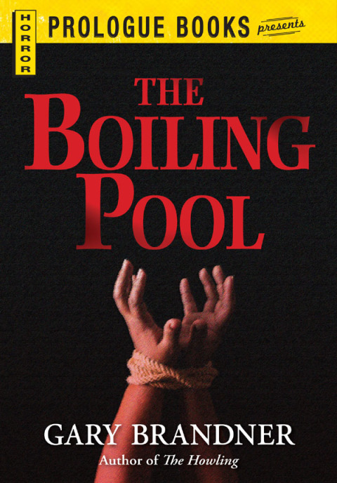 Cover image for book The Boiling Pool