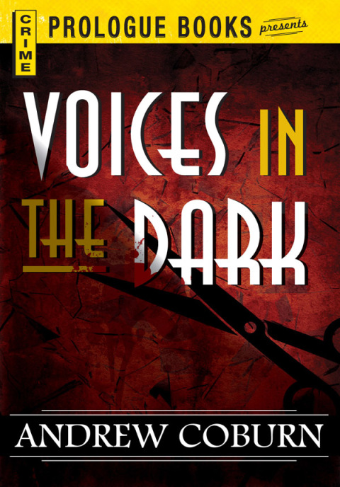 Cover image for book Voices in the Dark