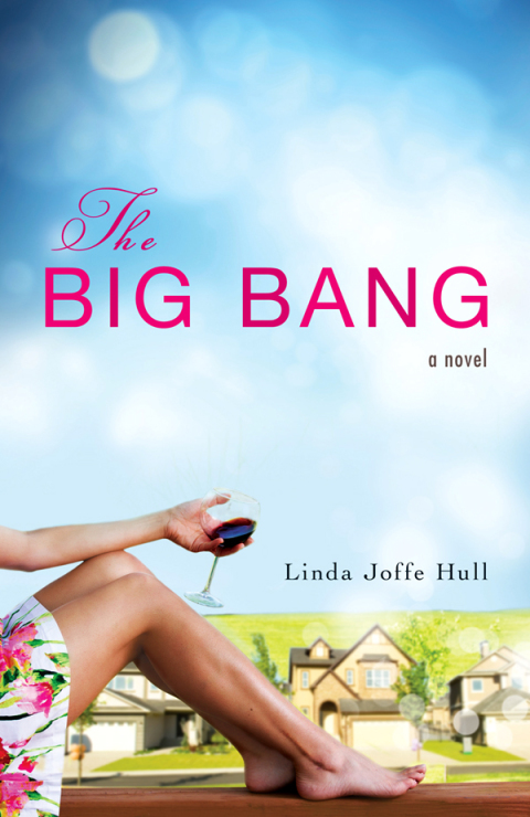 Cover image for book The Big Bang
