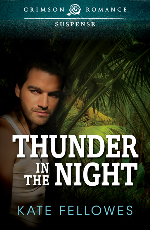 Cover image for book Thunder in the Night