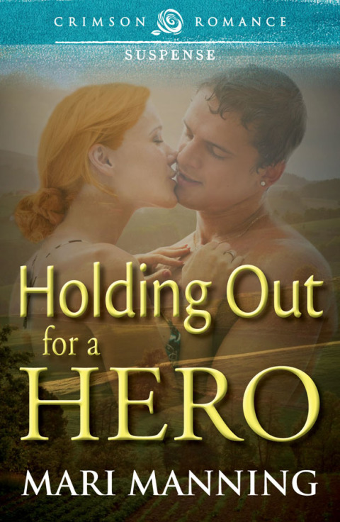 Cover image for book Holding Out For a Hero