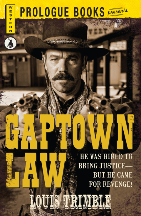 Cover image for book Gaptown Law