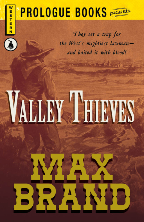 Cover image for book Valley Thieves