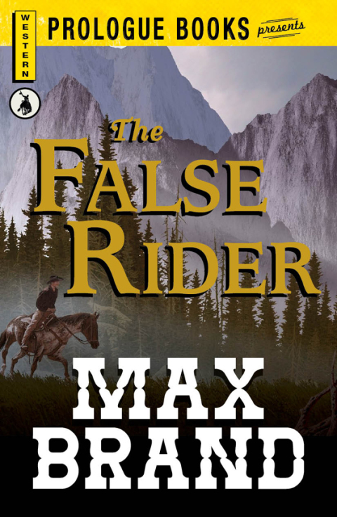 Cover image for book The False Rider