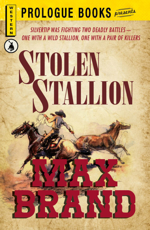 Cover image for book Stolen Stallion