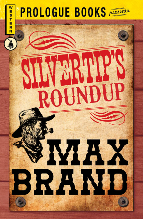 Cover image for book Silvertip's Roundup