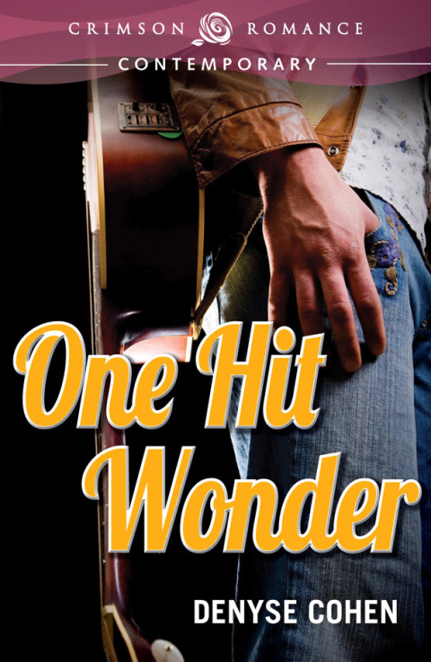 Cover image for book One Hit Wonder