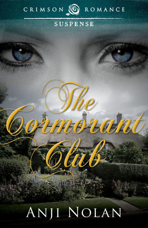 Cover image for book The Cormorant Club