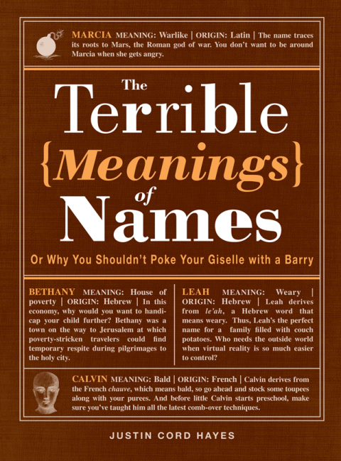 Cover image for book The Terrible Meanings of Names