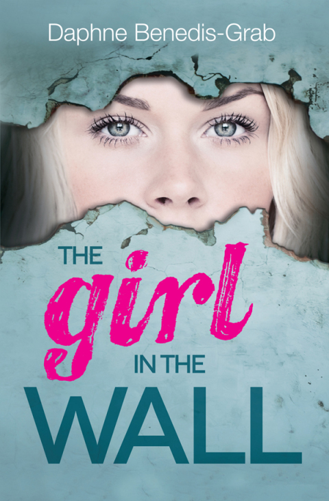 Cover image for book The Girl in the Wall