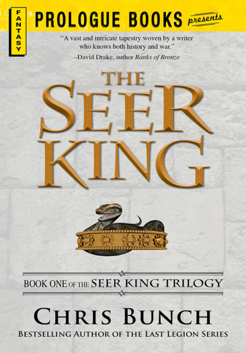Cover image for book The Seer King