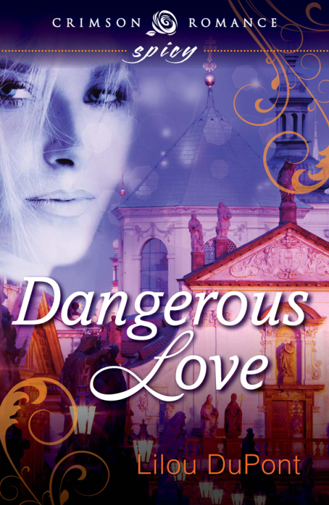 Cover image for book Dangerous Love