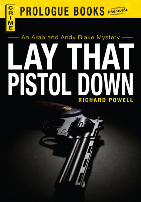 Cover image for book Lay that Pistol Down