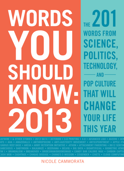 Cover image for book Words You Should Know 2013