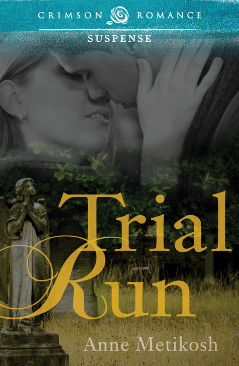 Cover image for book Trial Run