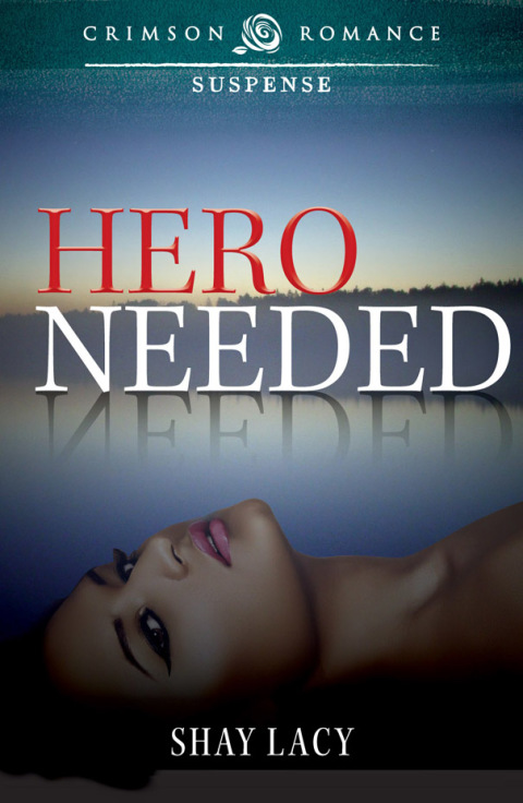 Cover image for book Hero Needed