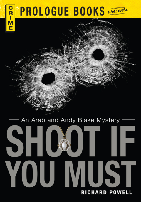 Cover image for book Shoot If You Must
