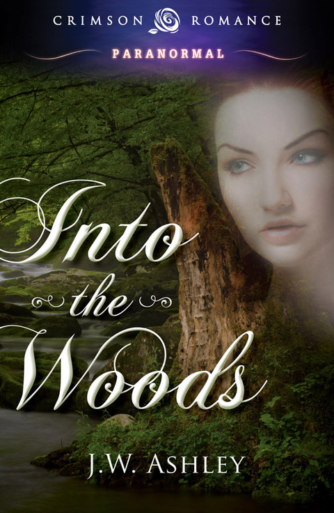 Cover image for book Into the Woods