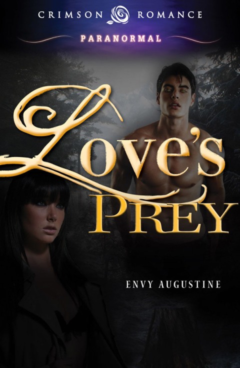 Cover image for book Love's Prey