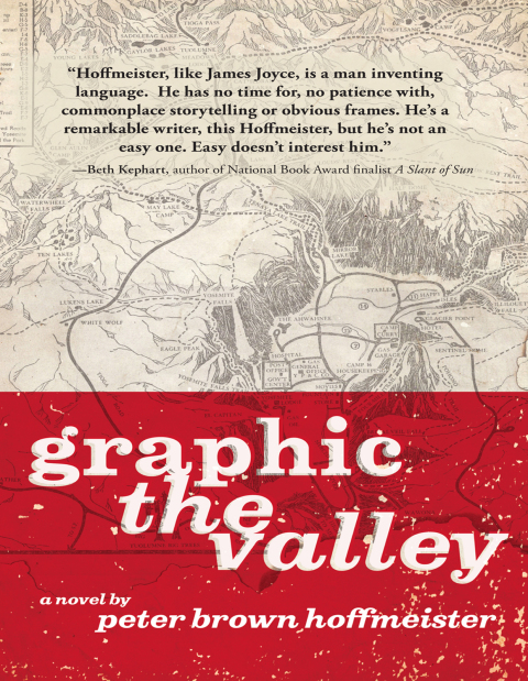 Cover image for book Graphic the Valley