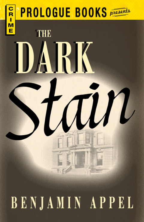 Cover image for book The Dark Stain