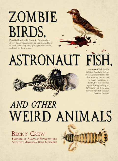 Cover image for book Zombie Birds, Astronaut Fish, and Other Weird Animals
