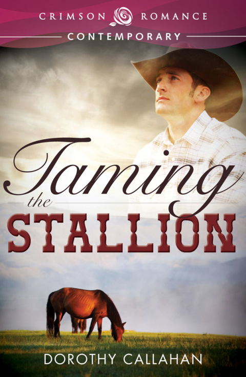 Cover image for book Taming the Stallion