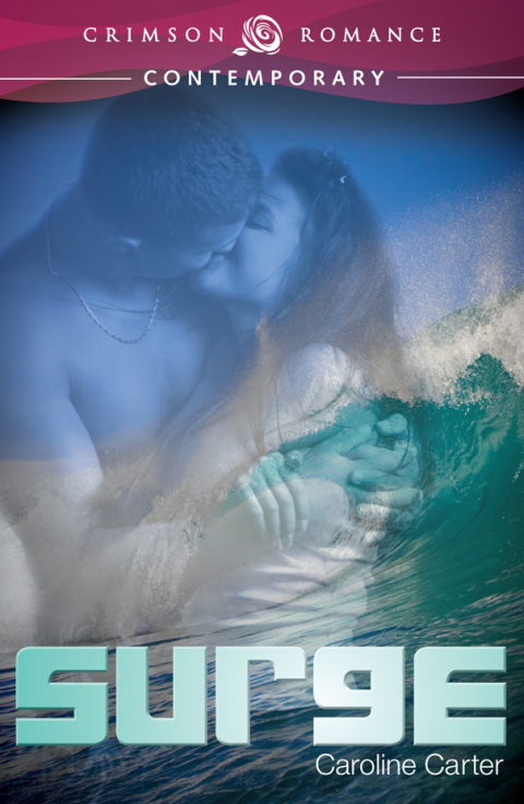 Cover image for book Surge