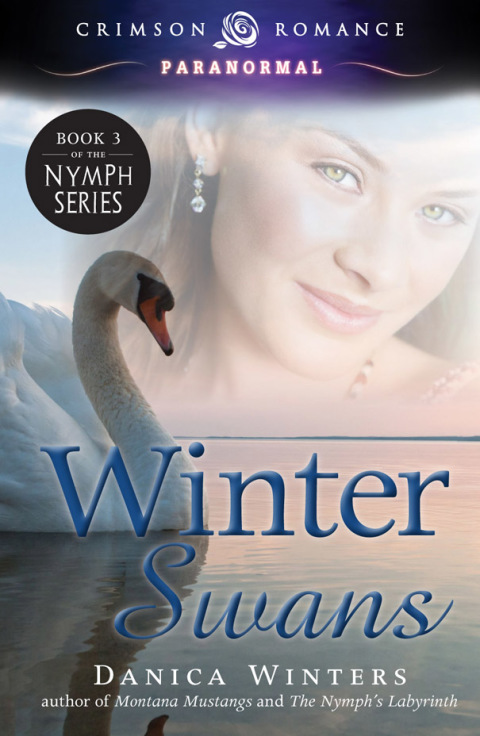 Cover image for book Winter Swans