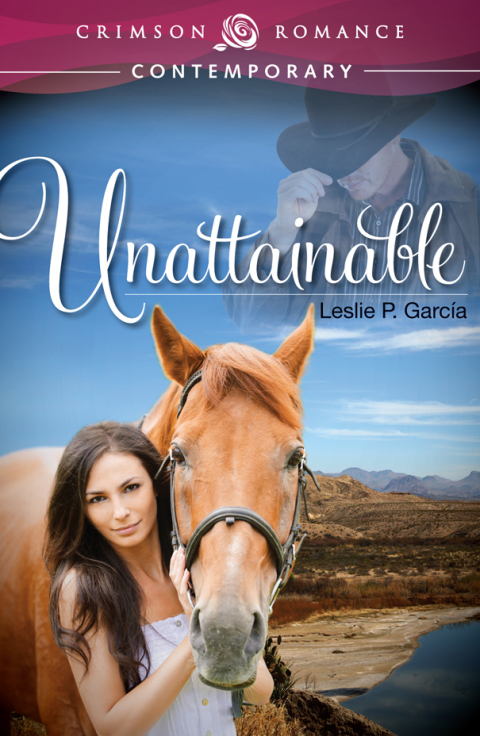 Cover image for book Unattainable