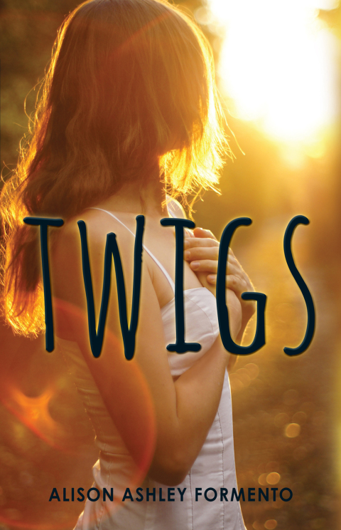 Cover image for book Twigs