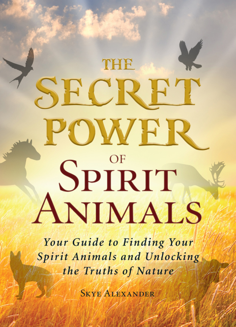 Cover image for book The Secret Power of Spirit Animals