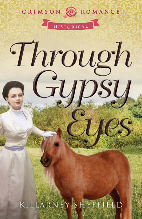 Cover image for book Through Gypsy Eyes
