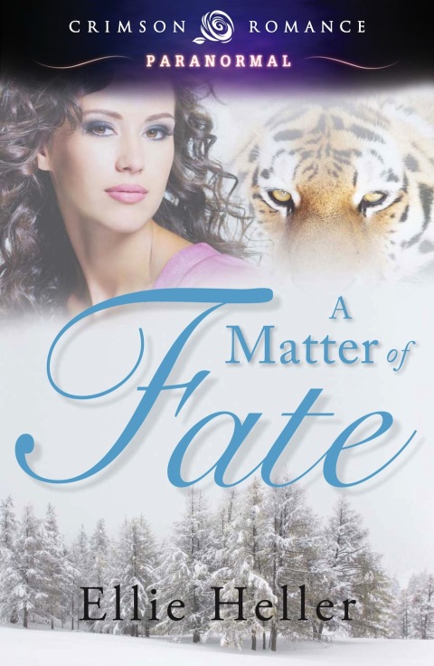 Cover image for book A Matter of Fate
