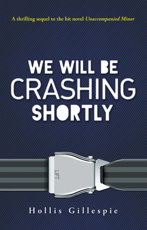 Cover image for book We Will Be Crashing Shortly