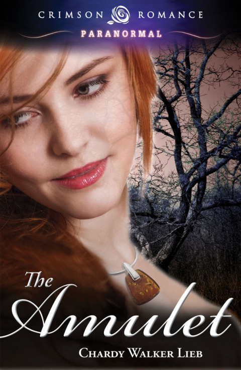 Cover image for book The Amulet
