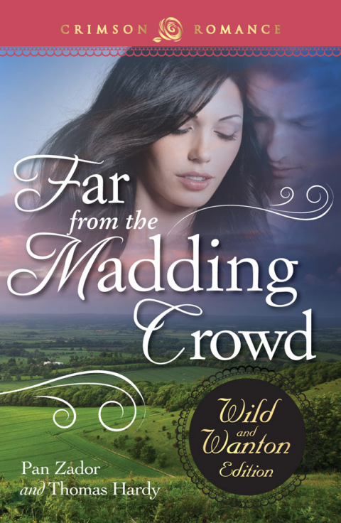 Cover image for book Far From The Madding Crowd: The Wild And Wanton Edition