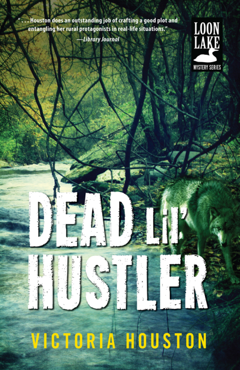 Cover image for book Dead Lil' Hustler